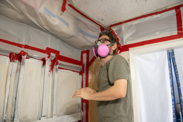 Mold Documentation for Insurance Claims in Orleans, VT